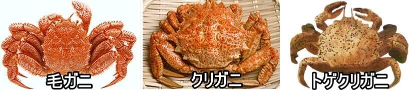 �N���K�j �уK�j �Ⴂ